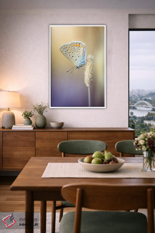 تابلو دکوراتیو پروانه کوچک در میان علف های خشک اثر جفرسون کاستلاری - D6W