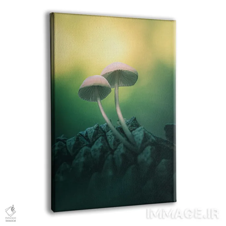 تابلو دکوراتیو قارچ ها روی میوه کاج اثر جفرسون کاستلاری - نمای پرسپکتیو محصول
