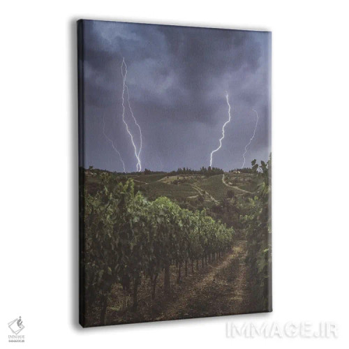 تابلو دکوراتیو رعد و برق و طوفان در باغ های انگور اثر جفرسون کاستلاری - نمای پرسپکتیو محصول