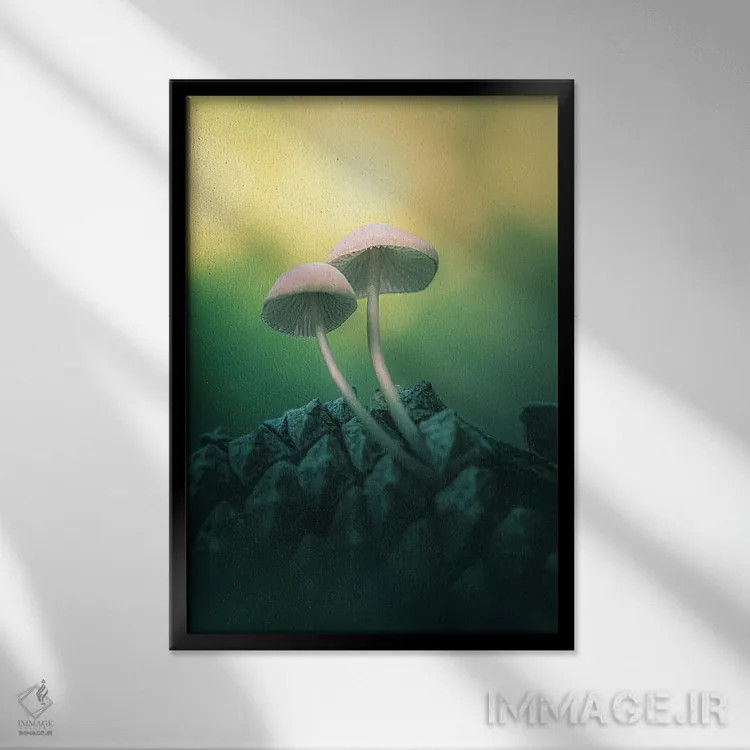 تابلو دکوراتیو قارچ ها روی میوه کاج اثر جفرسون کاستلاری - نمای قابدار مشکی