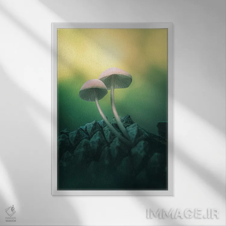 تابلو دکوراتیو قارچ ها روی میوه کاج اثر جفرسون کاستلاری - نمای قابدار سفید