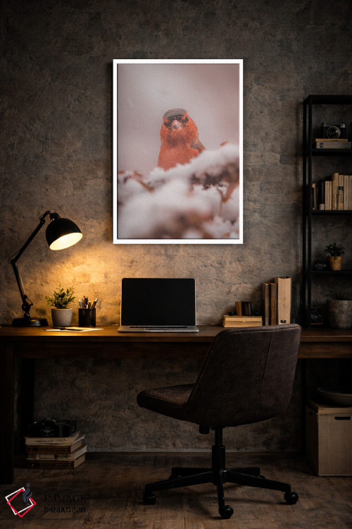 تابلو دکوراتیو پرتره فنچ در برف اثر جفرسون کاستلاری - D6W