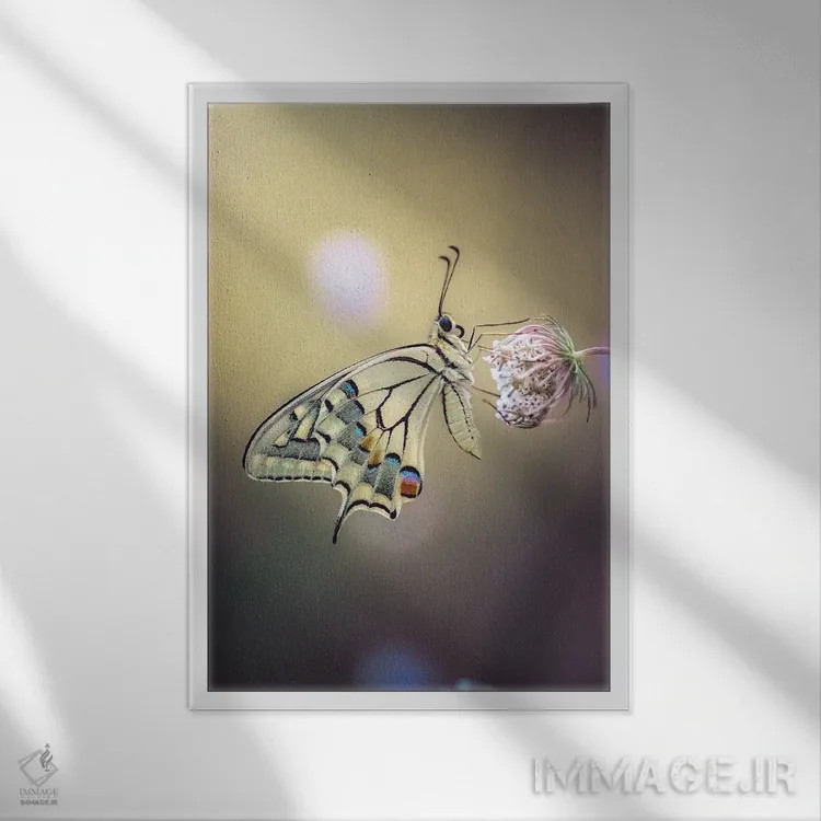 تابلو دکوراتیو عکس نمای نزدیک پروانه ماکاون اثر جفرسون کاستلاری - نمای قابدار سفید