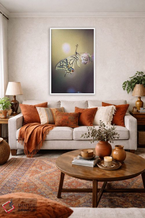 تابلو دکوراتیو عکس نمای نزدیک پروانه ماکاون اثر جفرسون کاستلاری - D3W