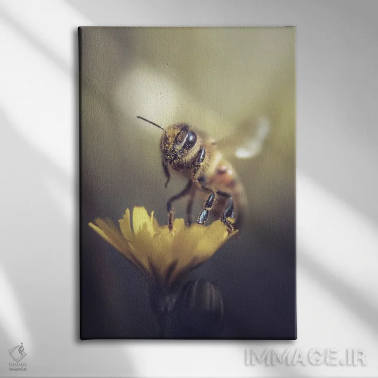 تابلو دکوراتیو زنبور روی گل وحشی کوچک اثر جفرسون کاستلاری - نمای روبهرو روی دیوار