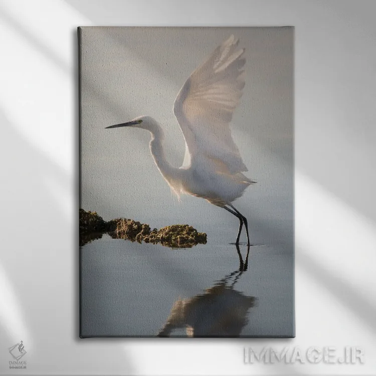 تابلو دکوراتیو اگرت کوچک در حال اوج گرفتن اثر جفرسون کاستلاری - نمای روبهرو روی دیوار