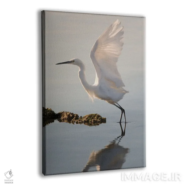 تابلو دکوراتیو اگرت کوچک در حال اوج گرفتن اثر جفرسون کاستلاری - نمای پرسپکتیو محصول