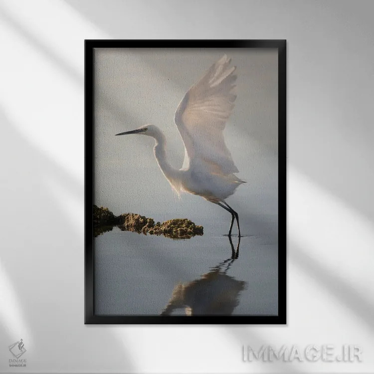 تابلو دکوراتیو اگرت کوچک در حال اوج گرفتن اثر جفرسون کاستلاری - نمای قابدار مشکی