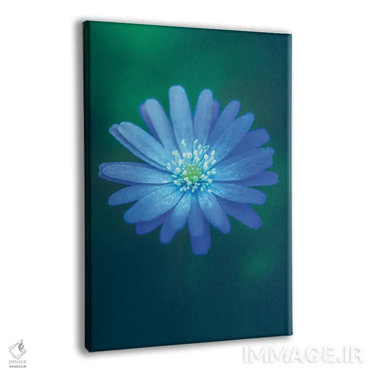 تابلو دکوراتیو شقایق آپنینی اثر جفرسون کاستلاری - نمای پرسپکتیو محصول