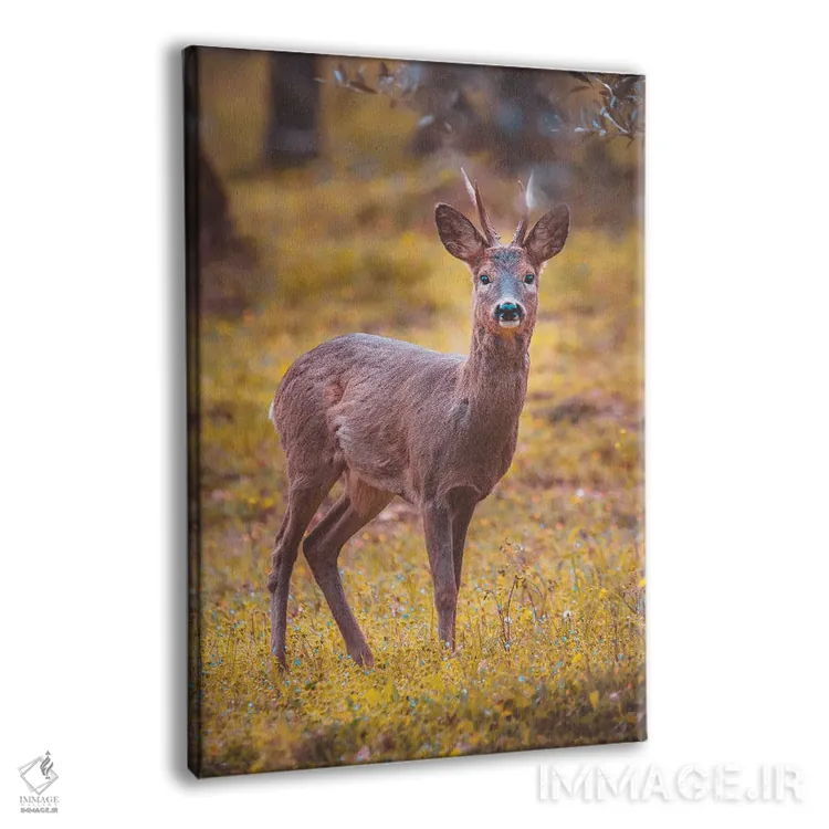 تابلو دکوراتیو گوزن شوکا نر اثر جفرسون کاستلاری - نمای پرسپکتیو محصول