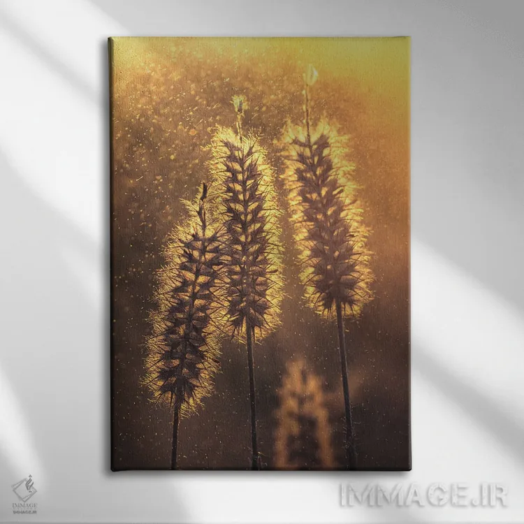 تابلو دکوراتیو خوشه های علف مقابل نور غروب اثر جفرسون کاستلاری - نمای روبهرو روی دیوار