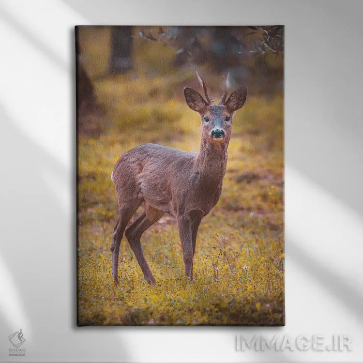 تابلو دکوراتیو گوزن شوکا نر اثر جفرسون کاستلاری - نمای روبهرو روی دیوار