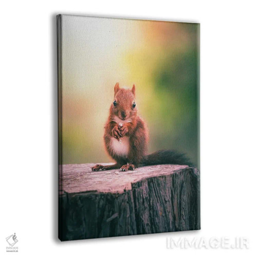 تابلو دکوراتیو سنجاب در حال خوردن دانه ها روی تنه درخت اثر جفرسون کاستلاری - نمای پرسپکتیو محصول