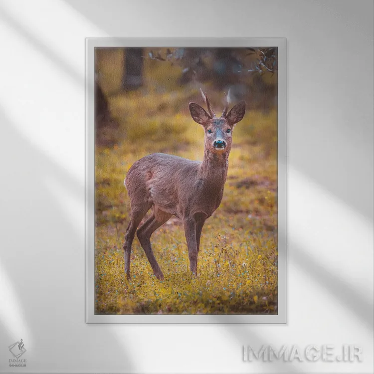 تابلو دکوراتیو گوزن شوکا نر اثر جفرسون کاستلاری - نمای قابدار سفید