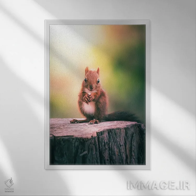 تابلو دکوراتیو سنجاب در حال خوردن دانه ها روی تنه درخت اثر جفرسون کاستلاری - نمای قابدار سفید