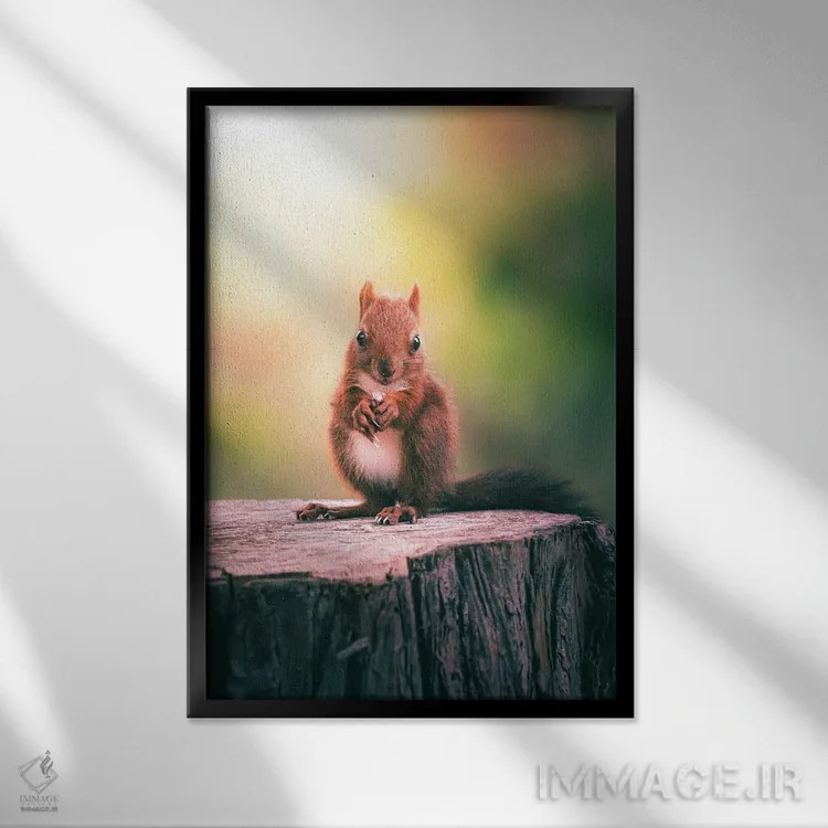 تابلو دکوراتیو سنجاب در حال خوردن دانه ها روی تنه درخت اثر جفرسون کاستلاری - نمای قابدار مشکی