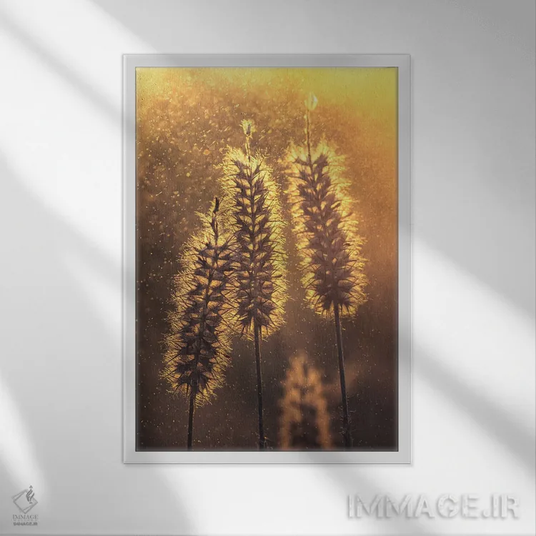 تابلو دکوراتیو خوشه های علف مقابل نور غروب اثر جفرسون کاستلاری - نمای قابدار سفید
