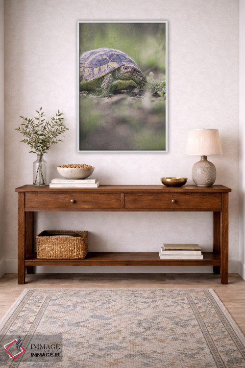 تابلو دکوراتیو پرتره نمای نزدیک لاک پشت اثر جفرسون کاستلاری - D2W