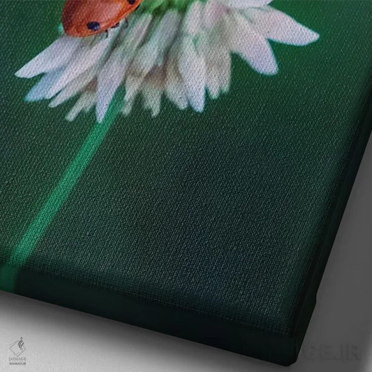 تابلو دکوراتیو پروانه و کفشدوزک روی گل چمنی اثر جفرسون کاستلاری - نمای نزدیک بافت بوم