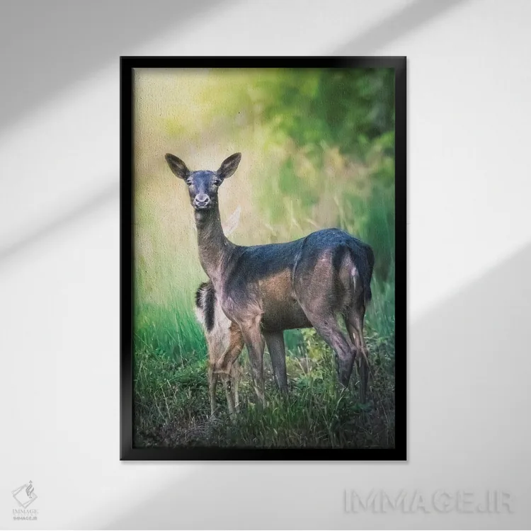 تابلو دکوراتیو آهو مادر در حال محافظت و پنهان کردن بچه اش اثر جفرسون کاستلاری - نمای قابدار مشکی