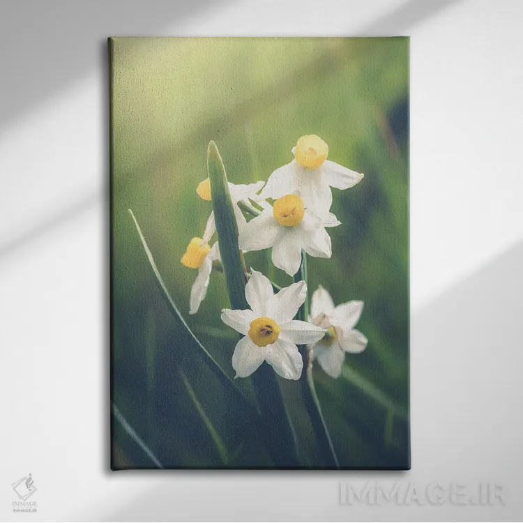 تابلو دکوراتیو دسته ای از نرگس های وحشی اثر جفرسون کاستلاری - نمای روبهرو روی دیوار