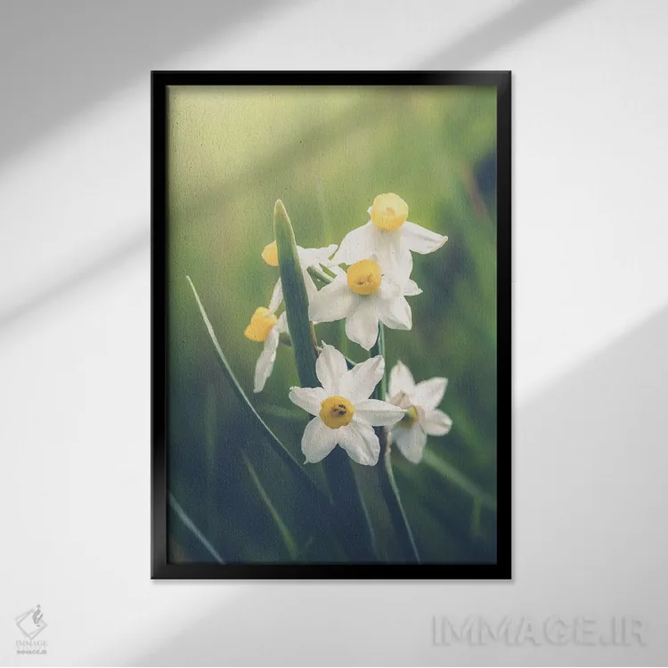تابلو دکوراتیو دسته ای از نرگس های وحشی اثر جفرسون کاستلاری - نمای قابدار مشکی