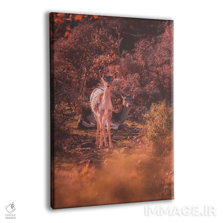 تابلو دکوراتیو گوزن زرد اروپایی اثر جفرسون کاستلاری - نمای پرسپکتیو محصول