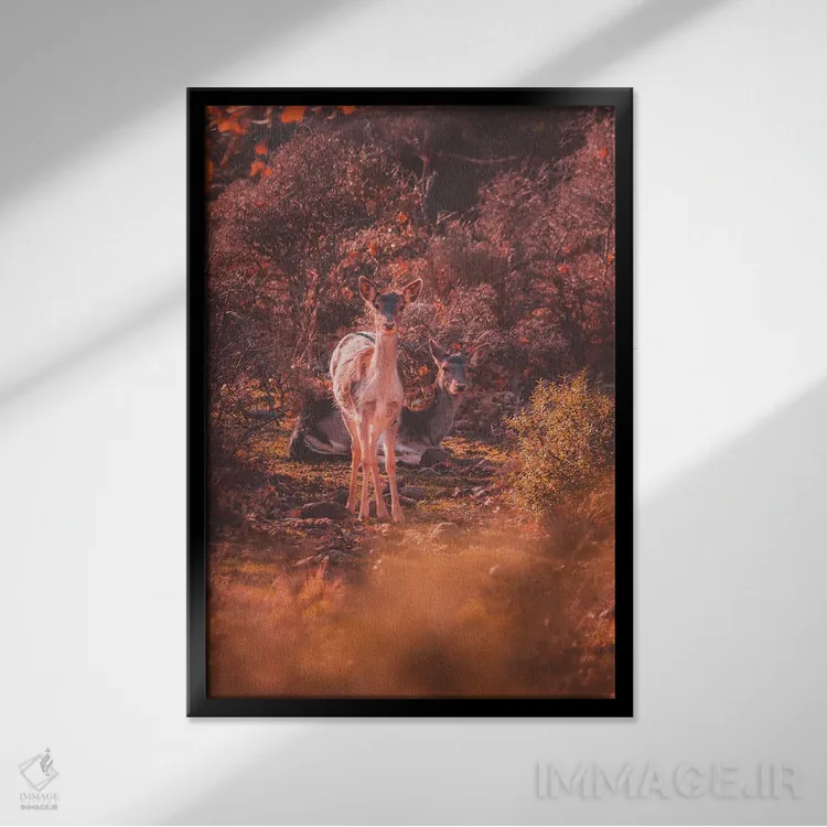 تابلو دکوراتیو گوزن زرد اروپایی اثر جفرسون کاستلاری - نمای قابدار مشکی