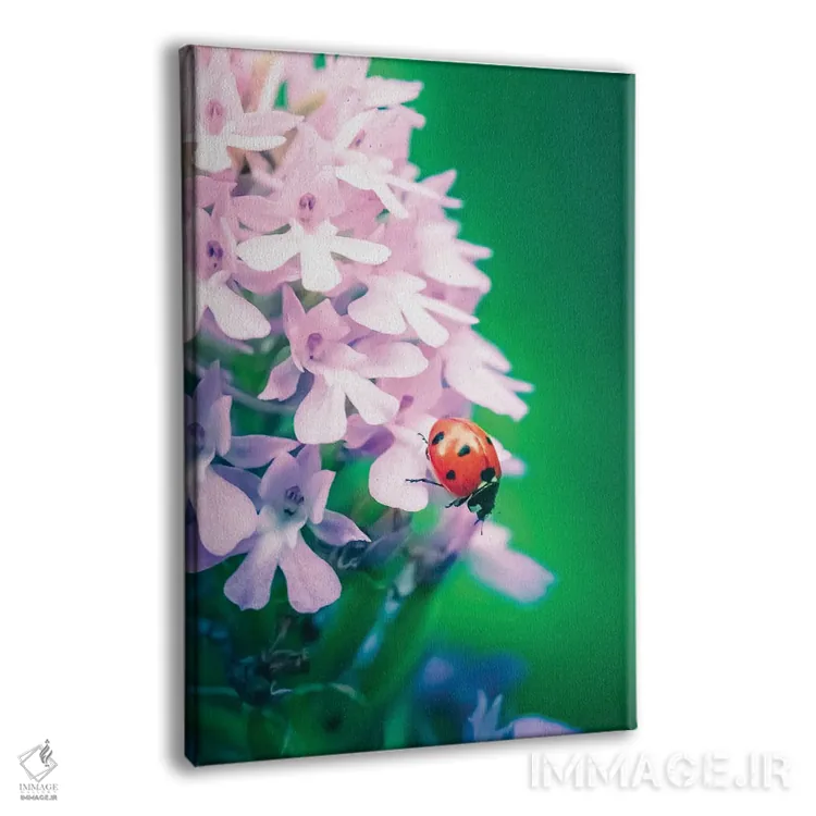 تابلو دکوراتیو کفشدوزک قرمز روی ارکیده وحشی اثر جفرسون کاستلاری - نمای پرسپکتیو محصول