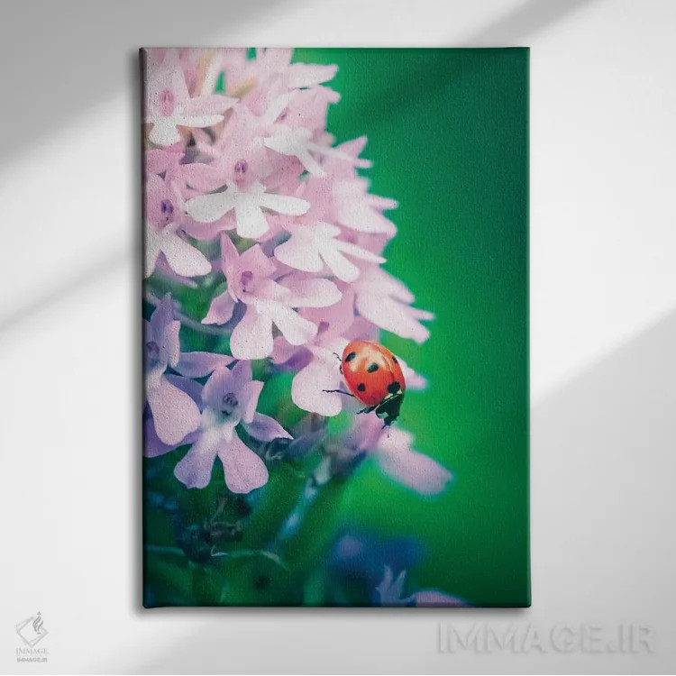 تابلو دکوراتیو کفشدوزک قرمز روی ارکیده وحشی اثر جفرسون کاستلاری - نمای روبهرو روی دیوار