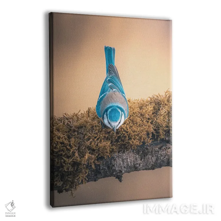 تابلو دکوراتیو دم آبی وارونه روی شاخه اثر جفرسون کاستلاری - نمای پرسپکتیو محصول