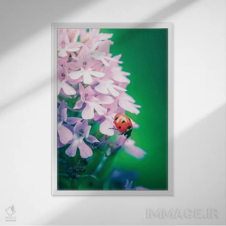 تابلو دکوراتیو کفشدوزک قرمز روی ارکیده وحشی اثر جفرسون کاستلاری - نمای قابدار سفید