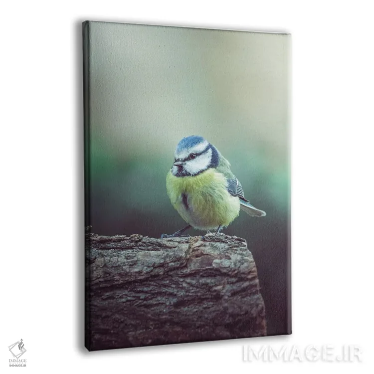 تابلو دکوراتیو دم آبی سرد در شاخه اثر جفرسون کاستلاری - نمای پرسپکتیو محصول