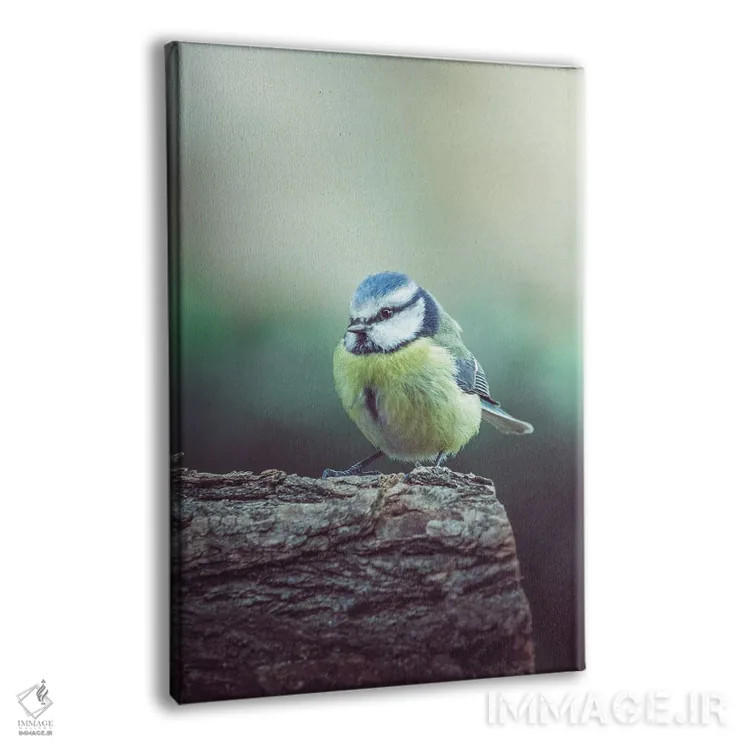 تابلو دکوراتیو دم آبی سرد در شاخه اثر جفرسون کاستلاری - نمای پرسپکتیو محصول