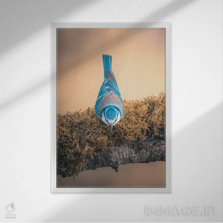 تابلو دکوراتیو دم آبی وارونه روی شاخه اثر جفرسون کاستلاری - نمای قابدار سفید