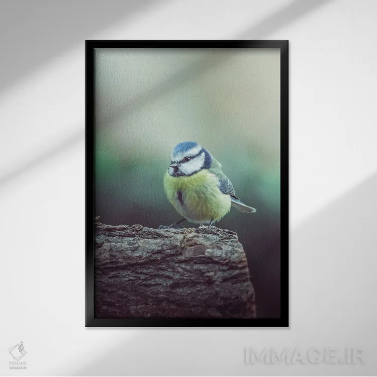 تابلو دکوراتیو دم آبی سرد در شاخه اثر جفرسون کاستلاری - نمای قابدار مشکی