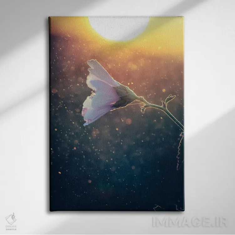 تابلو دکوراتیو گل پنیرک وحشی مقابل نور غروب اثر جفرسون کاستلاری - نمای روبهرو روی دیوار