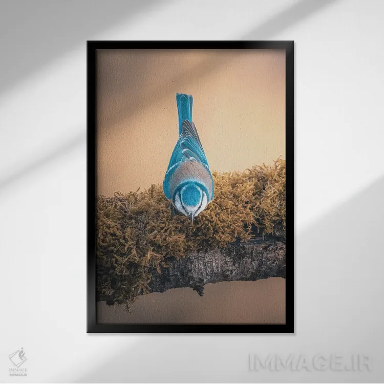 تابلو دکوراتیو دم آبی وارونه روی شاخه اثر جفرسون کاستلاری - نمای قابدار مشکی