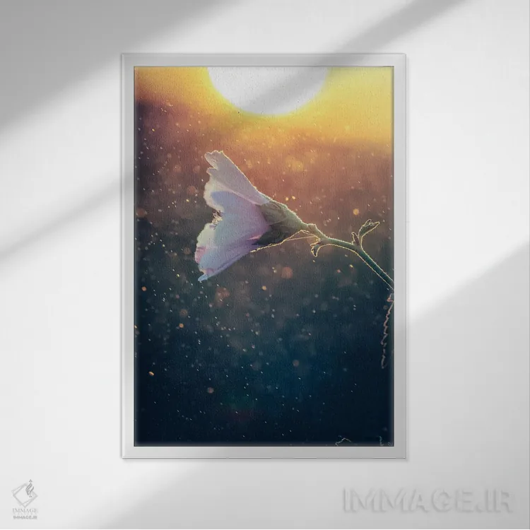 تابلو دکوراتیو گل پنیرک وحشی مقابل نور غروب اثر جفرسون کاستلاری - نمای قابدار سفید