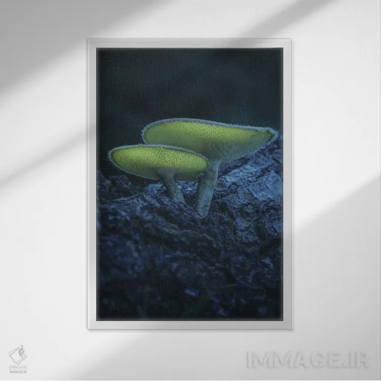 تابلو دکوراتیو یک جفت قارچ اثر جفرسون کاستلاری - نمای قابدار سفید