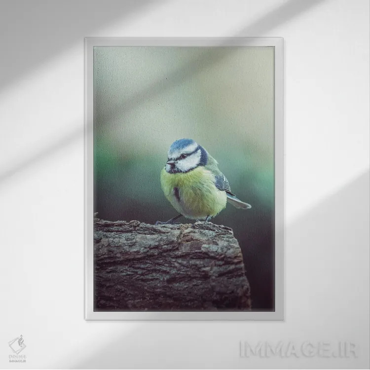 تابلو دکوراتیو دم آبی سرد در شاخه اثر جفرسون کاستلاری - نمای قابدار سفید