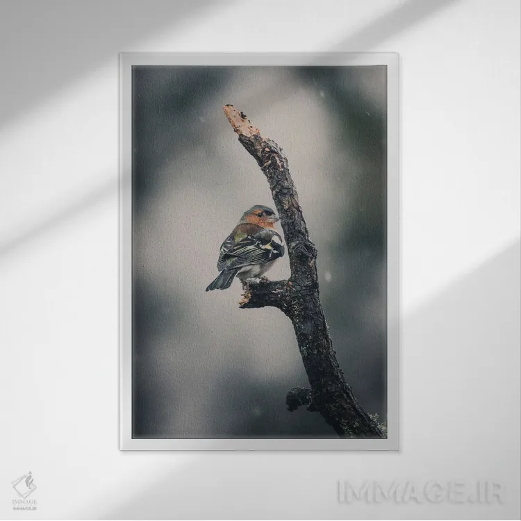 تابلو دکوراتیو فنچ از پشت زیر برف اثر جفرسون کاستلاری - نمای قابدار سفید