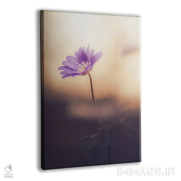 تابلو دکوراتیو شقایق آپنینی در نور پس زمینه اثر جفرسون کاستلاری - نمای پرسپکتیو محصول