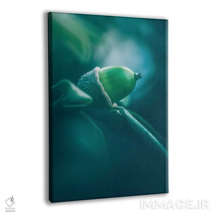 تابلو دکوراتیو میوه بلوط هولم اثر جفرسون کاستلاری - نمای پرسپکتیو محصول