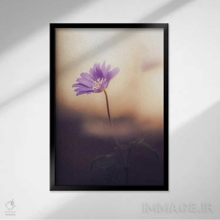 تابلو دکوراتیو شقایق آپنینی در نور پس زمینه اثر جفرسون کاستلاری - نمای قابدار مشکی