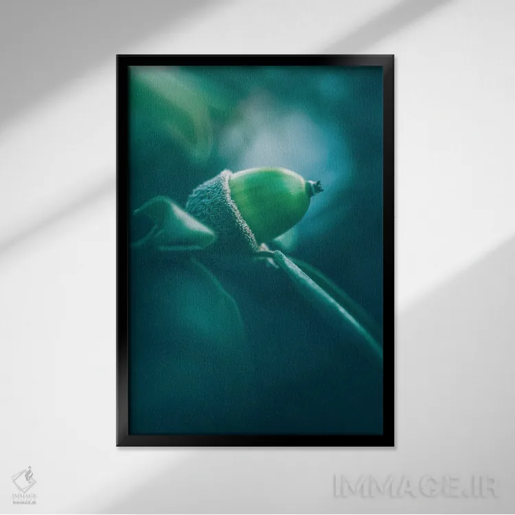 تابلو دکوراتیو میوه بلوط هولم اثر جفرسون کاستلاری - نمای قابدار مشکی