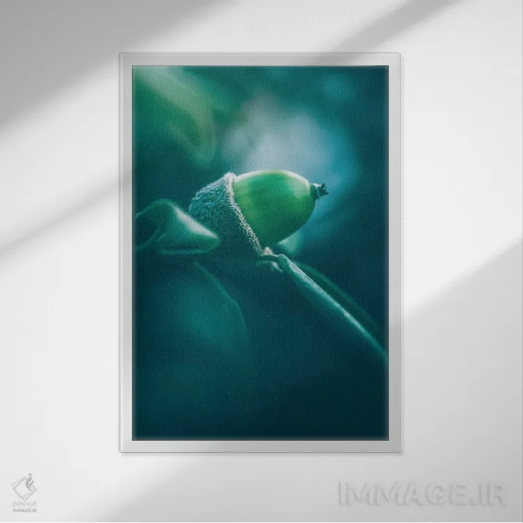 تابلو دکوراتیو میوه بلوط هولم اثر جفرسون کاستلاری - نمای قابدار سفید