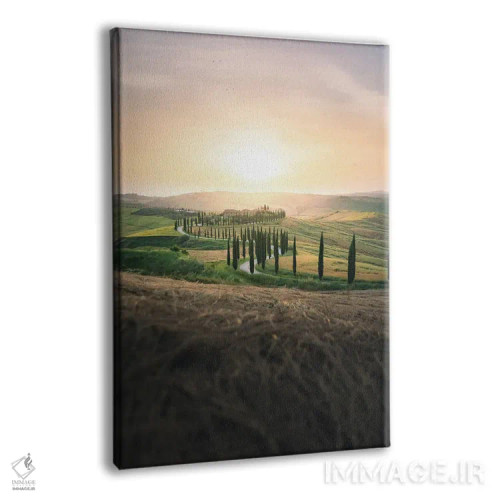 تابلو دکوراتیو منظره توسکانی با خیابان درختان سرو هنگام غروب اثر جفرسون کاستلاری - نمای پرسپکتیو محصول