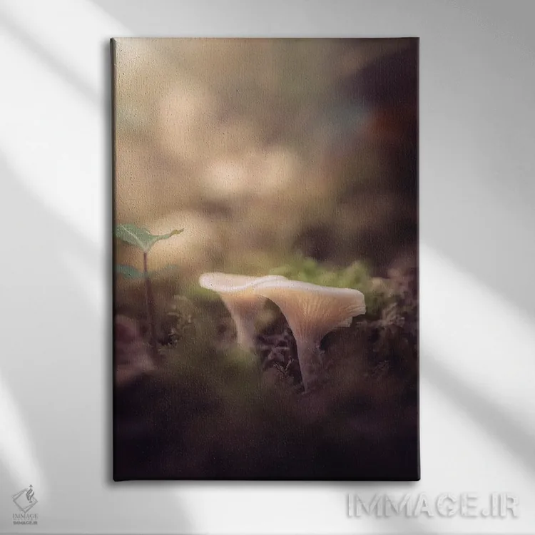 تابلو دکوراتیو قارچ های کوچک در زیرجنگل اثر جفرسون کاستلاری - نمای روبهرو روی دیوار