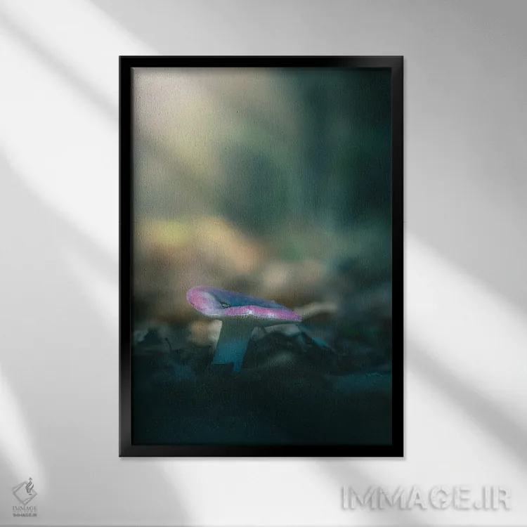 تابلو دکوراتیو قارچ کوچک روسولا اثر جفرسون کاستلاری - نمای قابدار مشکی